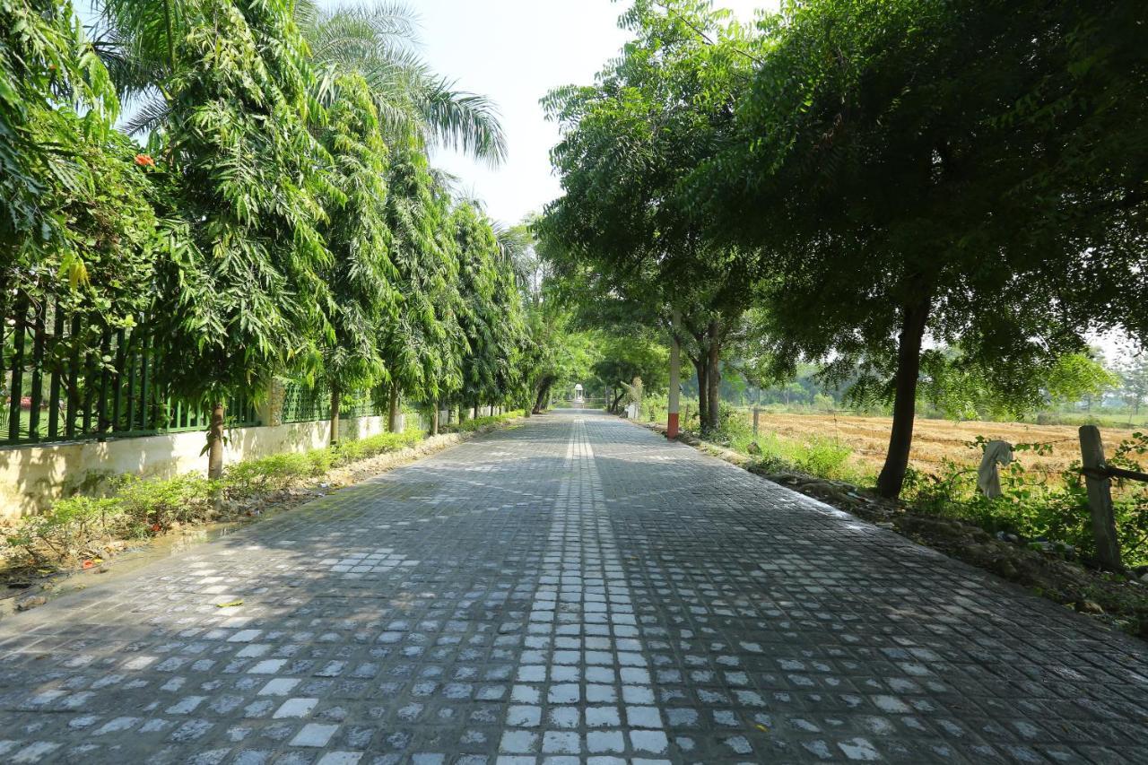 Mann The Palm Retreat Lucknow Exterior photo